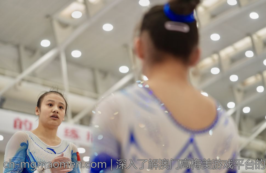 深入了解澳门高梅美游戏平台的优势