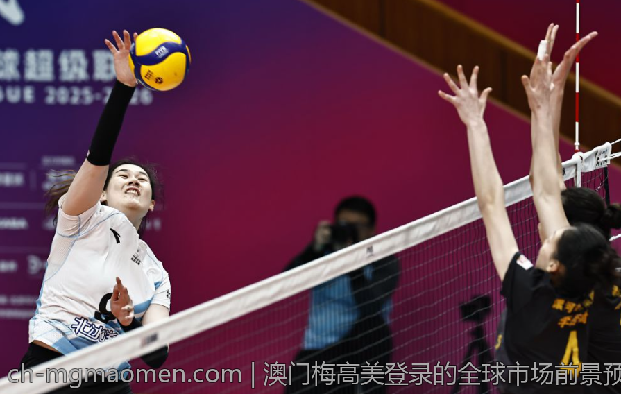 澳门梅高美登录的全球市场前景预测