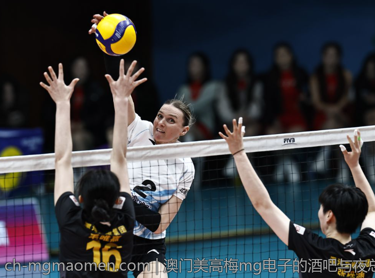 澳门美高梅mg电子的酒吧与夜总会体验