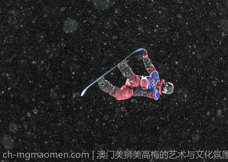 澳门美狮美高梅的艺术与文化氛围