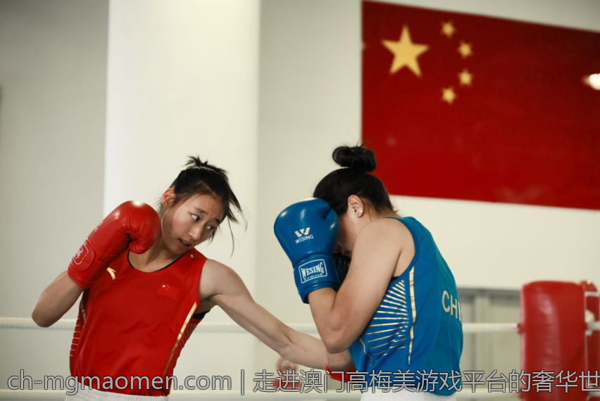 走进澳门高梅美游戏平台的奢华世界